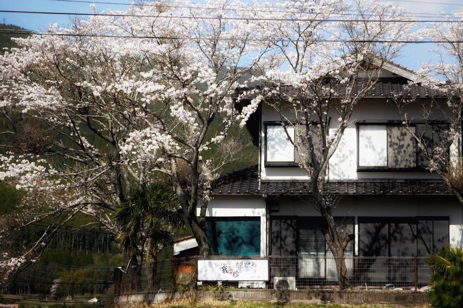 湯布院我楽珍民泊yufuin Garakuchin Apartment Exterior photo